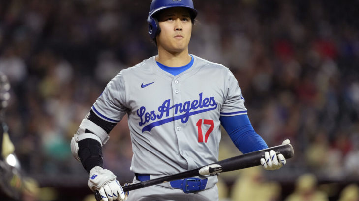 【ドジャース】蜂の大群襲来で１時間５５分遅れ…大谷翔平が今季初１試合３三振　ド軍も初のサヨナラ負けと珍事連発