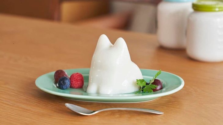 【NHK】番組でネコプリンを「韓国スイーツ」と紹介、造形作家が異議　NHKは一部反論も「公式Xで表現を改めた」