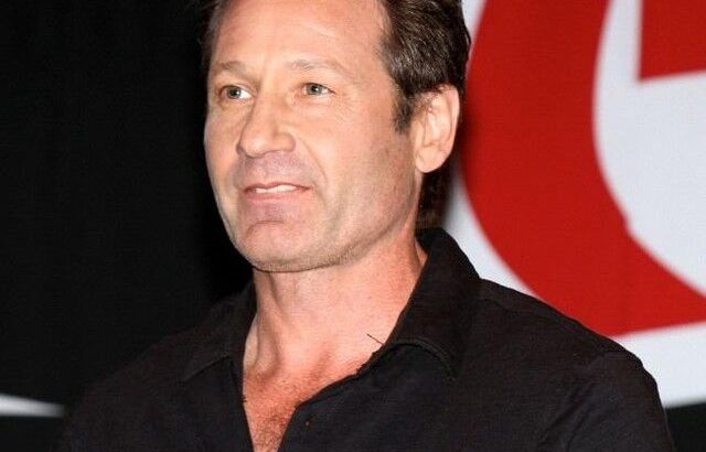 【芸能】「Ｘ-ファイル」出演の俳優と女優　口を利かない関係だった「お互い相手にしない時期が長く続いていた」