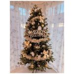 【芸能】辻希美、『ダイソー』の品で飾り付けたクリスマスツリーを公開「楽しんでいきましょう！！」