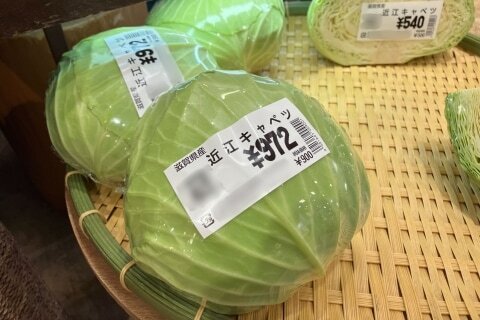 【社会】止まらないキャベツ高騰、1玉500円超えが「適正」の声も…とんかつ店の「おかわり自由」どうなる？