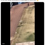 【MLB】佐々木朗希、パドレス本拠地でチームウエア着用して投球する動画がSNSで拡散