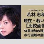 若林志穂！　長渕剛氏を絶対に許さざる思いとは。私はあなたを許さない。真意を探る