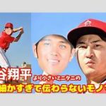 「大谷翔平ハラスメント」の影響を受けたミニタニ、批判の嵐に！