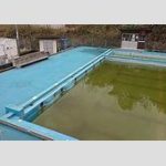 【水泳】カナヅチキッズ急増へ…「学校プール減少」がメダル数減少の競泳界に追い打ちをかける