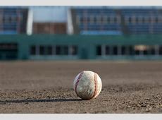 【高校野球】来春センバツでDH制導入も　高校野球に新たな改革へ　高野連前向きな検討