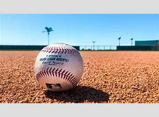 【MLB】トランプ大統領がメジャーリーグから日本人選手を締め出す日…「予測不可能なことでも平気でやる」と専門家