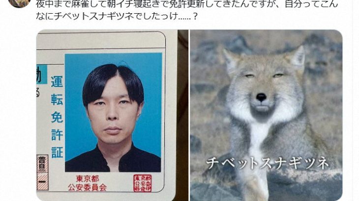 【芸能】ハライチ岩井「朝イチ寝起きで免許更新してきたんですが…」証明写真が反響「ジワる」「完全一致！」