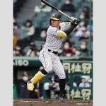 【野球】セ･リーグ S 2-3 T [8/1]　阪神9回に追いつかれるも延長10回佐藤輝明が勝ち越しタイムリー　ヤクルト連敗