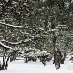 【社会】選挙終盤に響いたママの一言、「戦争の足音」感じた有権者の心情映す　#ママ戦争を止めてくるわ