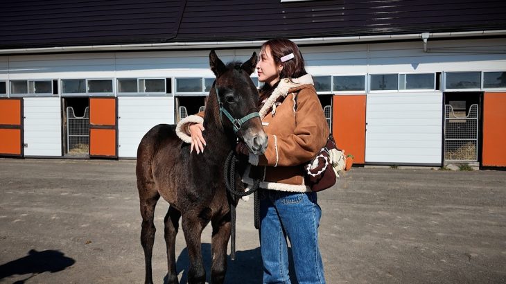 タレント紗栄子、仔馬の保護に2000万円投資して保護　動物保護活動
